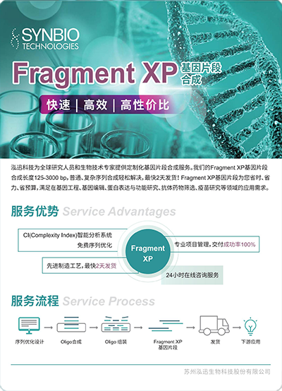 Fragment XP 基因片段合成