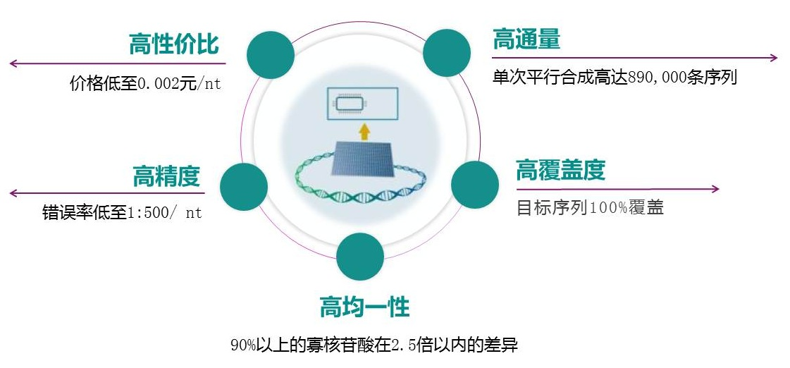 引物池（Oligo Pool）的優(yōu)勢(shì)